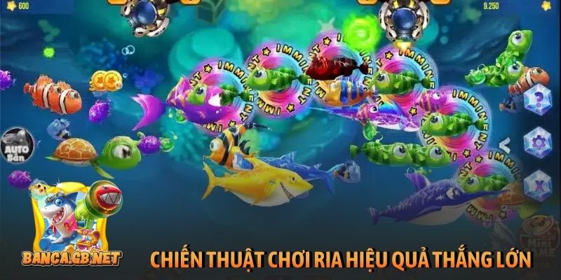 Chiến thuật chơi ria hiệu quả thắng lớn