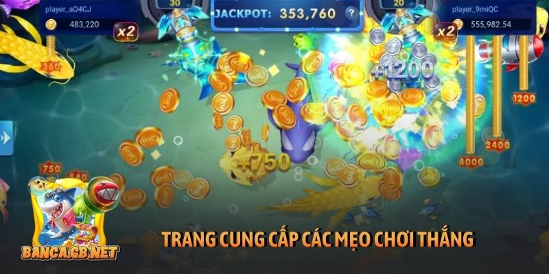 Trang cung cấp các mẹo chơi thắng